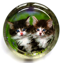 Glass Paperweight.2 Beautiful