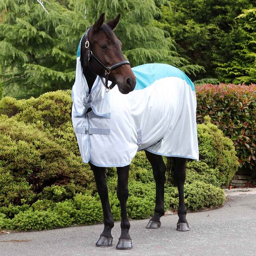 Vento fly rug with - fly,