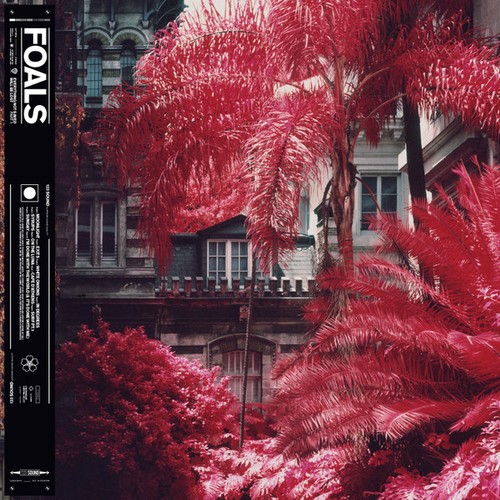 Foals everything not saved - everything,