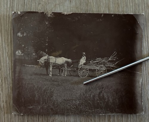 Antique 1900s woman driving - 1900s,