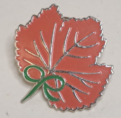 Macmillan cancer relief - macmillan,