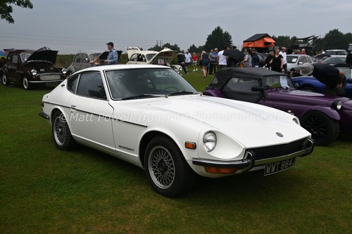 Car photo 12x8 datsun - car,