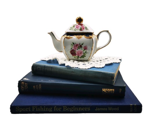 Vintage blue hardback books - vintage,