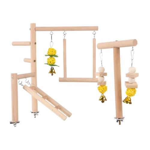Parrot playground - parrot, play