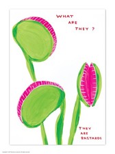 Official David Shrigley