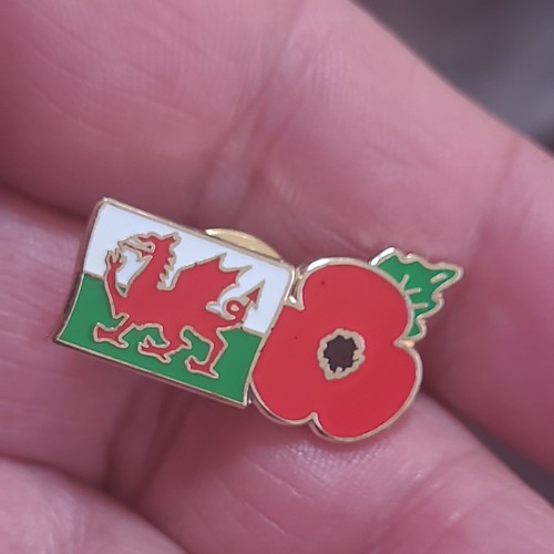 Wrexham badge wear - badge, with
