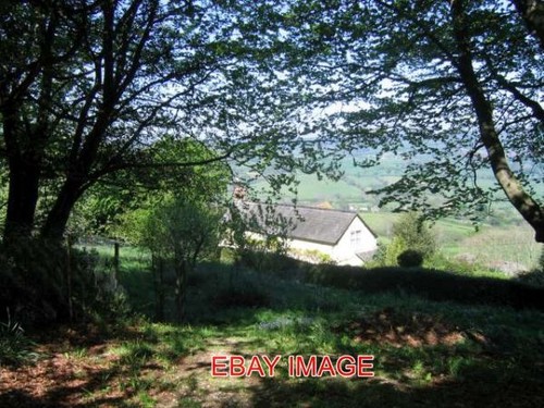 Photo morcombelake farm - ,