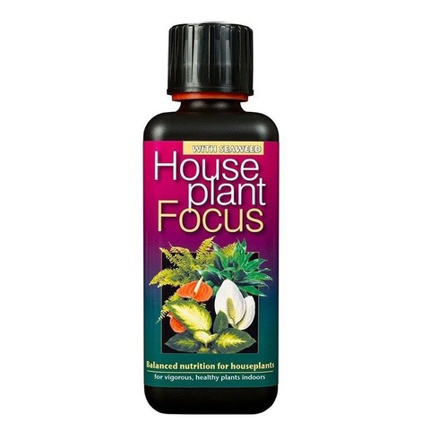 Growth technology houseplant - growth,