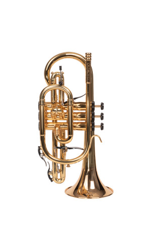 The oldroyd evo cornet - -, gold