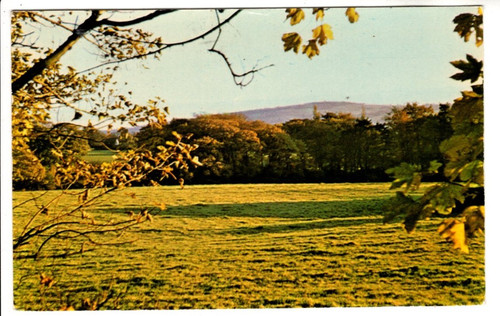 Dennis post card - post, of