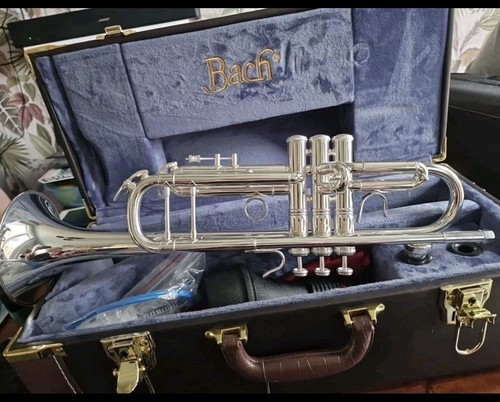Stradivarius medium - '37',
