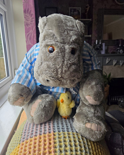 Humphrey corner grey hippo - corner,