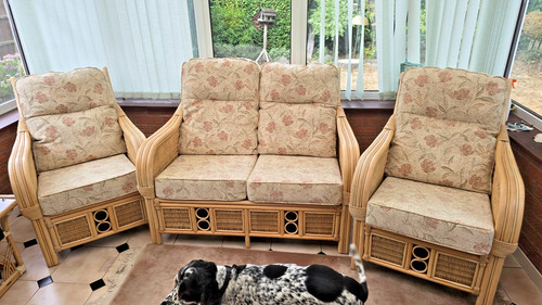 Conservatory furniture cane - furniture,