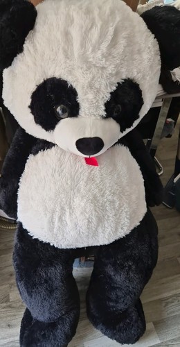 Giant teddy bear foot tall - 5,