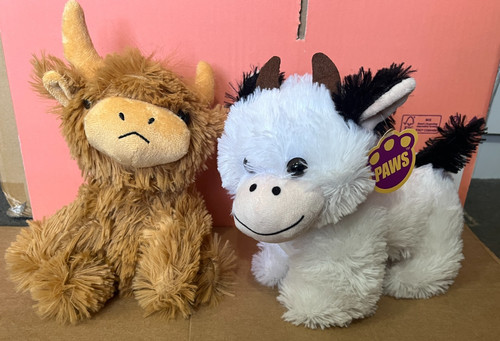 Highland black white cow - white,