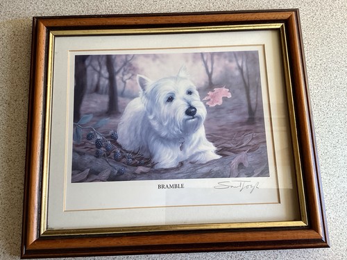 Sandy toye bramble - sandy,