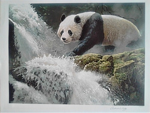 Rushing waters adrian c - rushing,