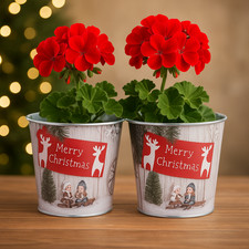 Christmas Tin Pail Planters Snow Scene Design 15cm – Pack available – Festive De
