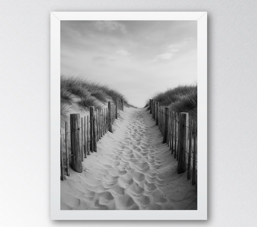 Black white dune pathway - &,
