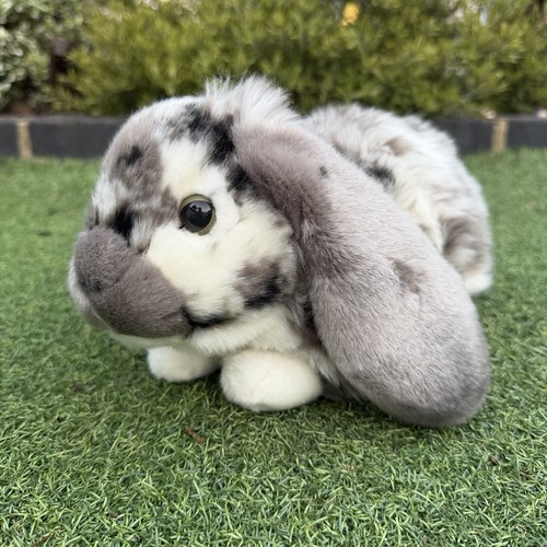 Living nature grey - living, lop
