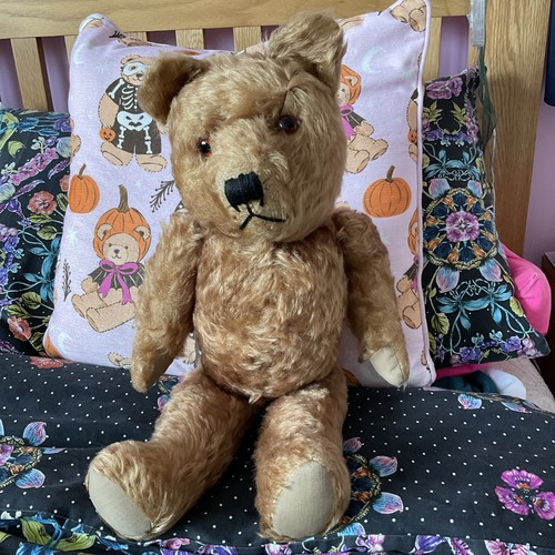 British bear inches - inches, tall