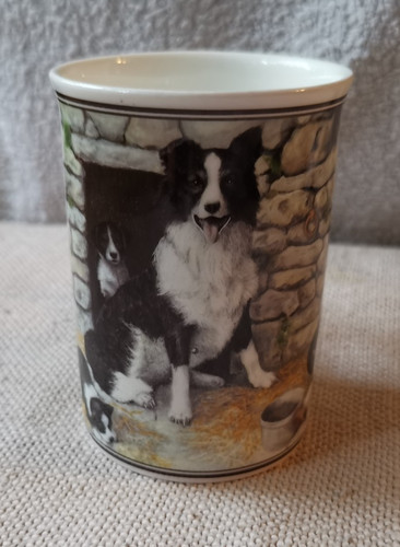 Border fine arts - arts, 'jock's