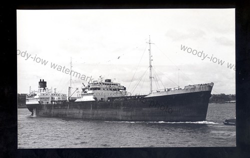 Ta1931 shell oil - -,