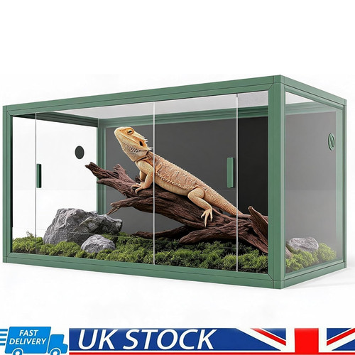 122 51cm reptile - reptile, vivarium