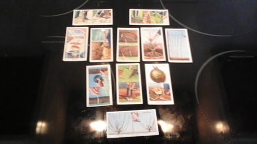 Wills garden hints 11 - hints, .(