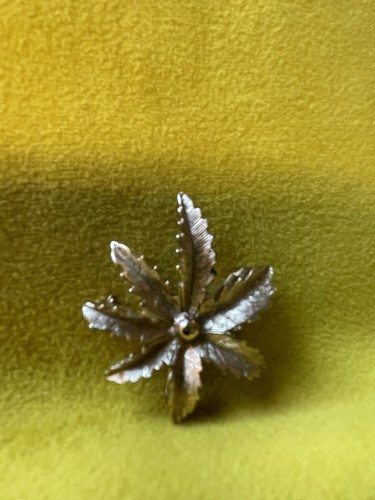 Vintage canadian maple - maple, leaf