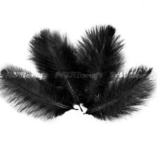 Black Natural Genuine Ostrich Feather Fluffy Costume Craft Party Decor