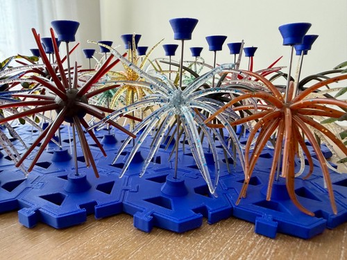 Urchin coike style - style, fishing