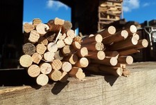 30 Oak timber framing Dowels