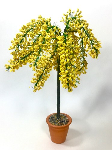 Yellow blossom tree laburnum - blossom,