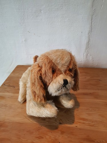 Antique vintage dog pyjama - vintage,