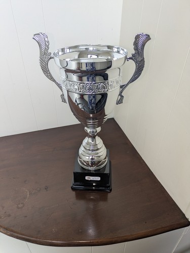 Large multisport trophy cup - large,