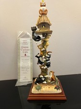 Comic & Curious Cats: (A0913)