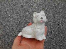 Wade west highland terrier - wade,
