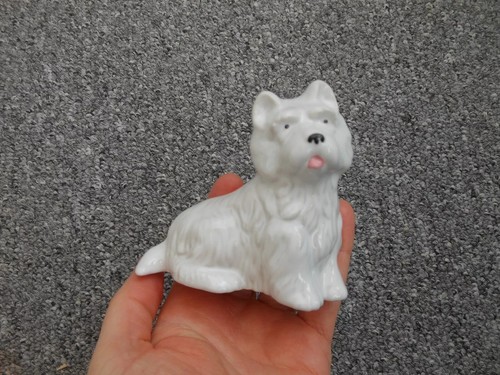 Wade west highland terrier - wade,