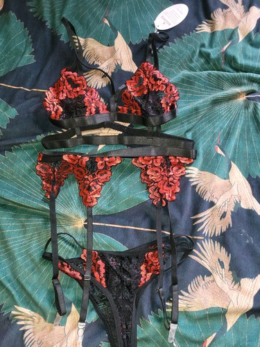 Suspender belt thong bra - belt, sexy