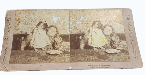 Antique 1896 stereoview card - stereoview,