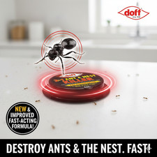 Ant Killer Bait Station Kills