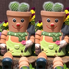 TWO CHEEKY FLOWER POT MEN