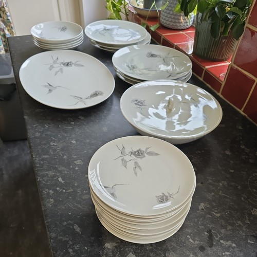 Rosenthal continental china - continental,