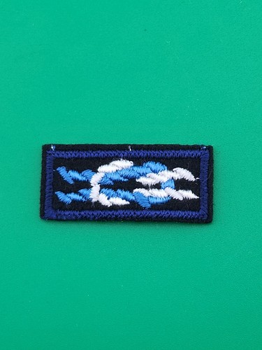 Silver beaver sea - beaver, scout