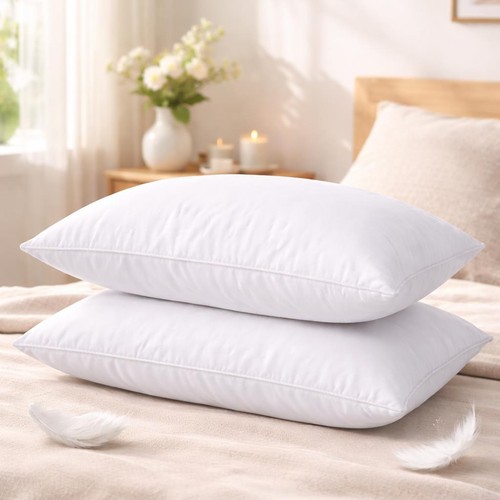 Duck feather down pillows - duck,