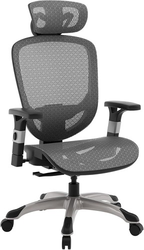 Ergonomic mesh task chair - chair, w/