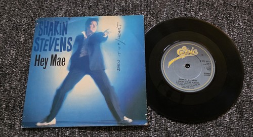 Shakin stevens hey - hey, mae