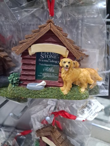 Golden retriever photo - golden,