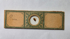 Antique Microscope Slide
